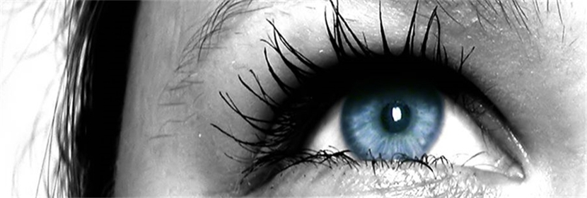 Alles im Blick ...
